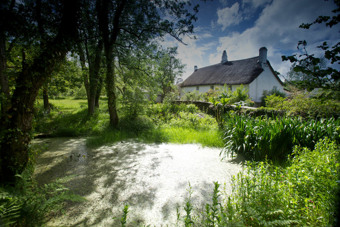 Totleigh Barton, a thatched manor house sits beside a sunlit pond. 
